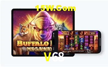 Experiência VIP V68